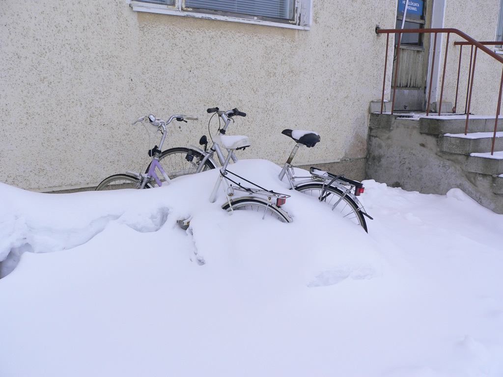 Cycle Stands
