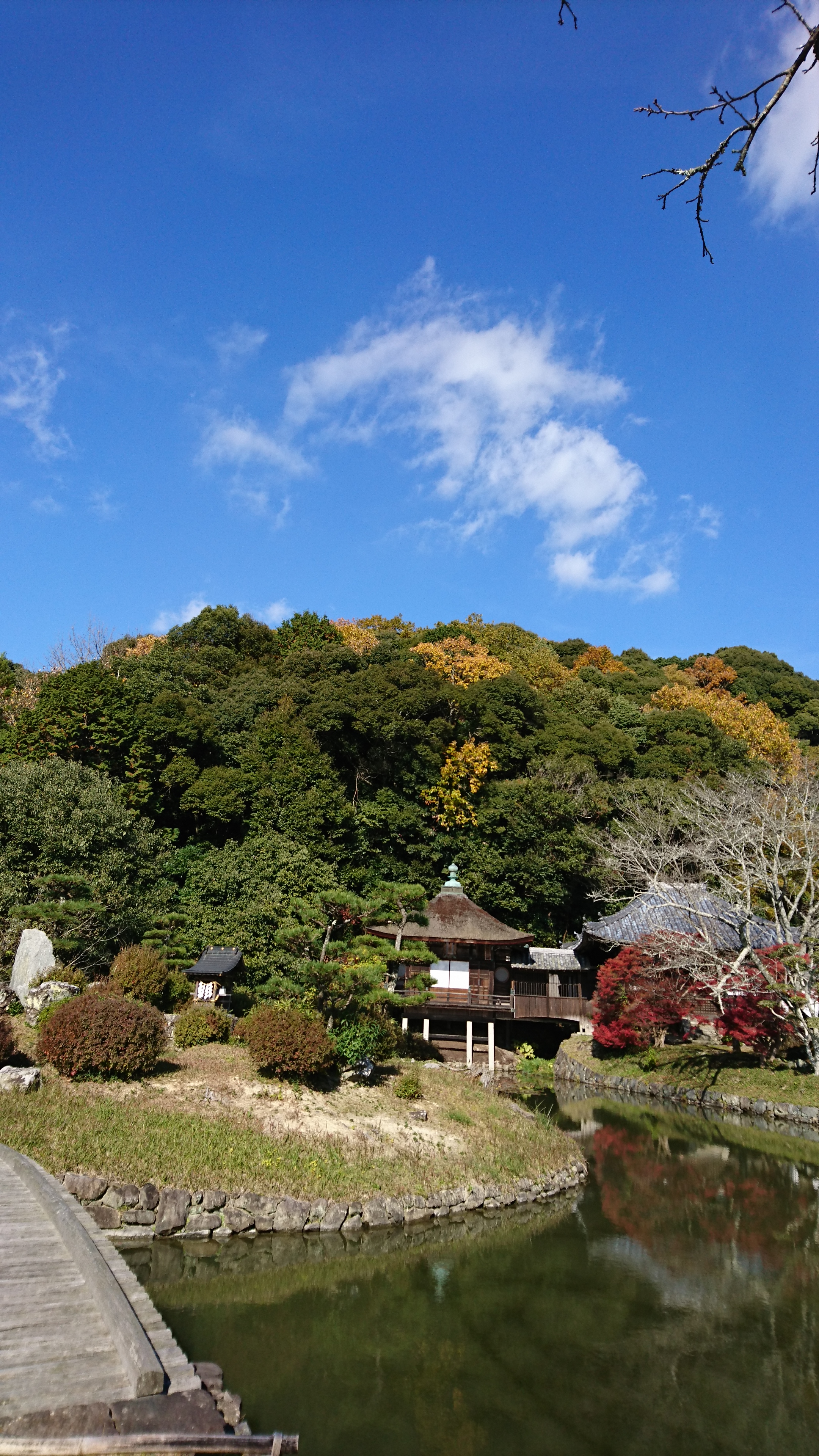 アップロードファイル 651-2.jpg
