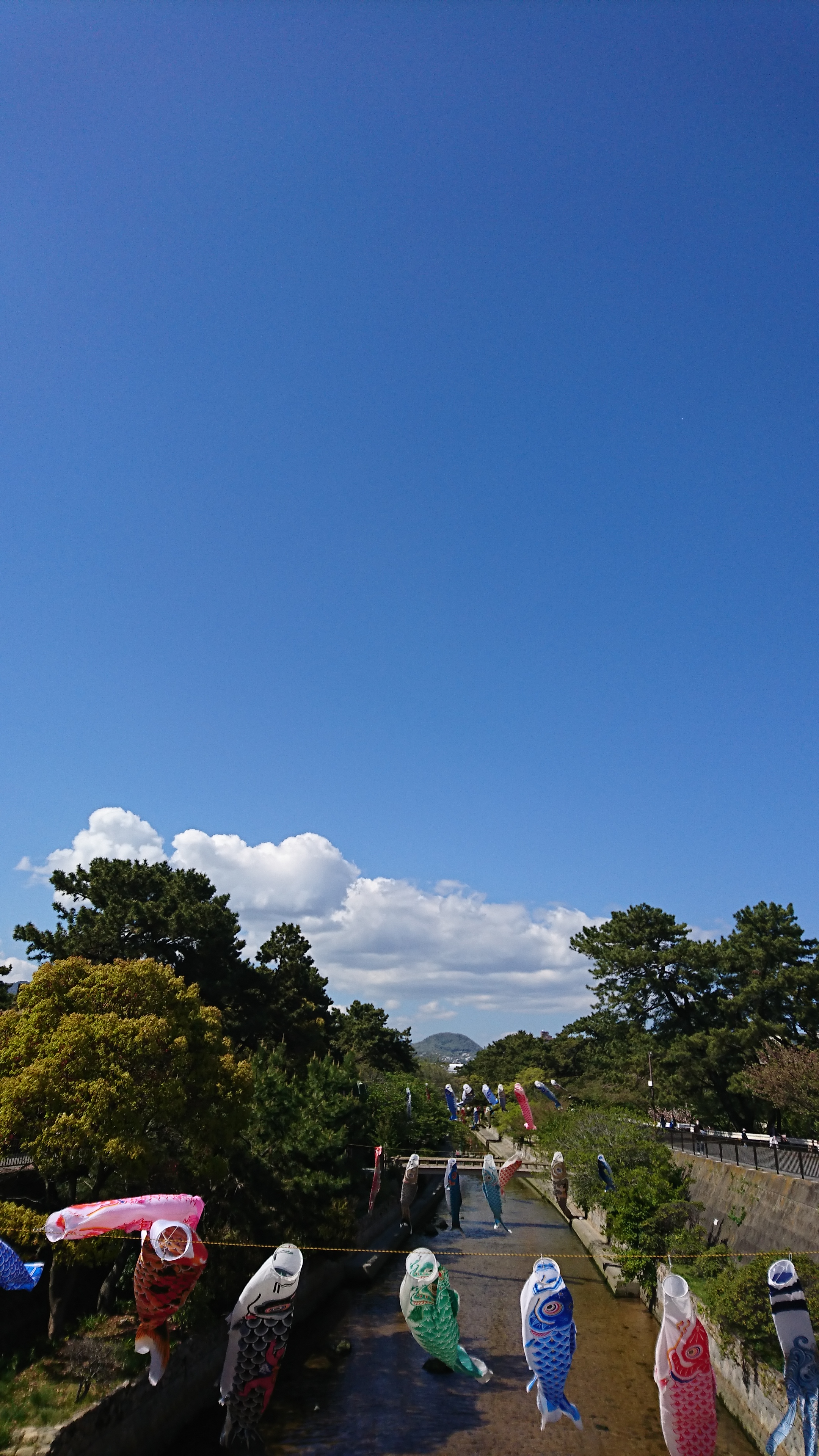 アップロードファイル 680-1.jpg