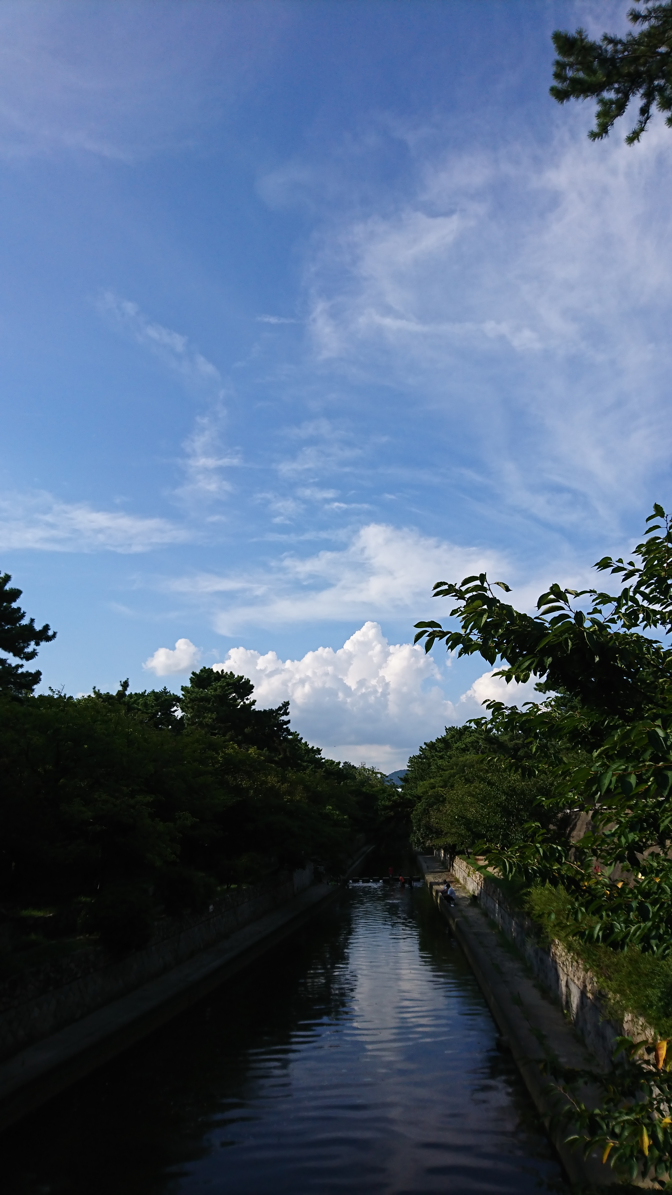 アップロードファイル 700-1.jpg