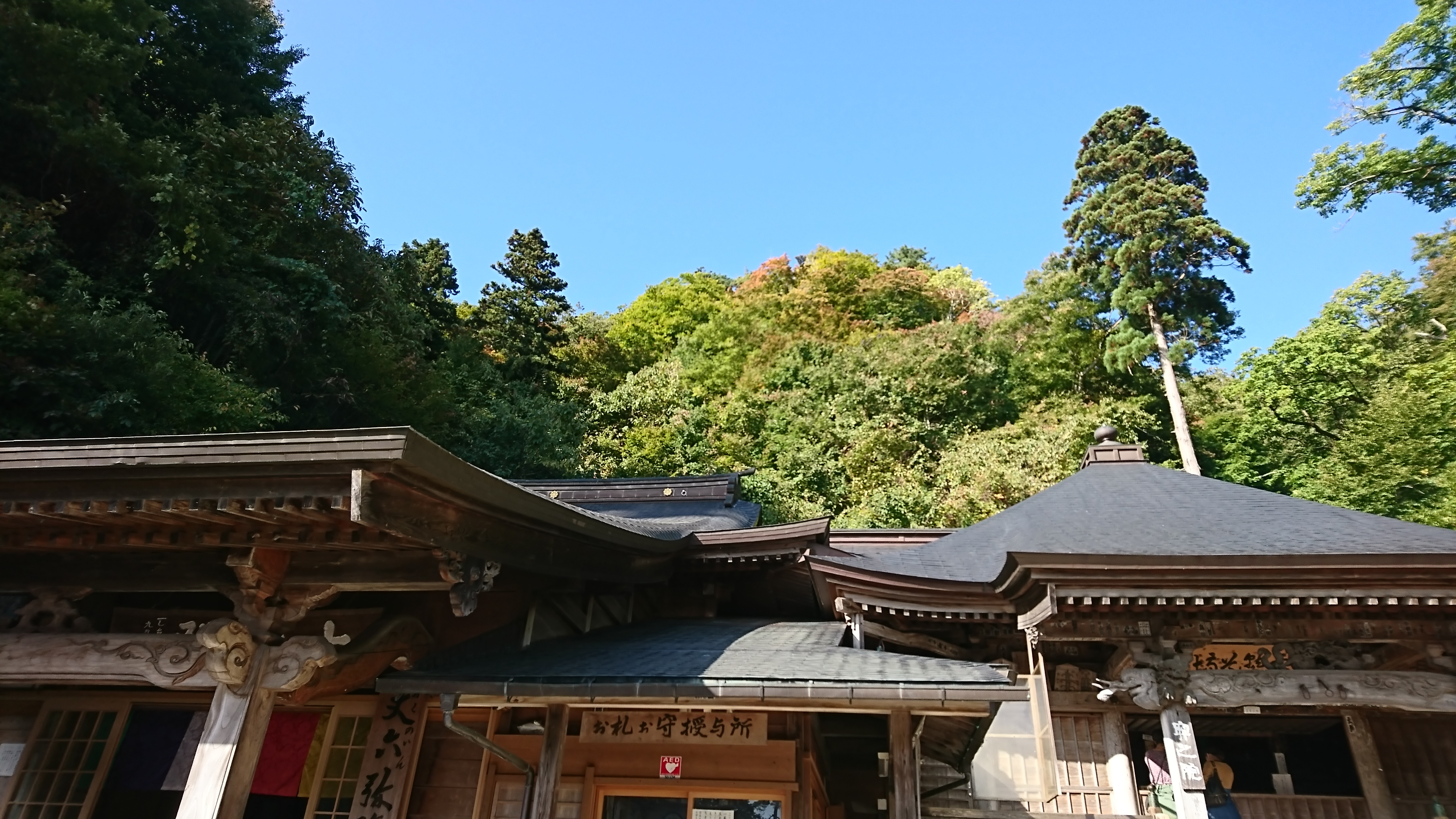 アップロードファイル 712-5.jpg