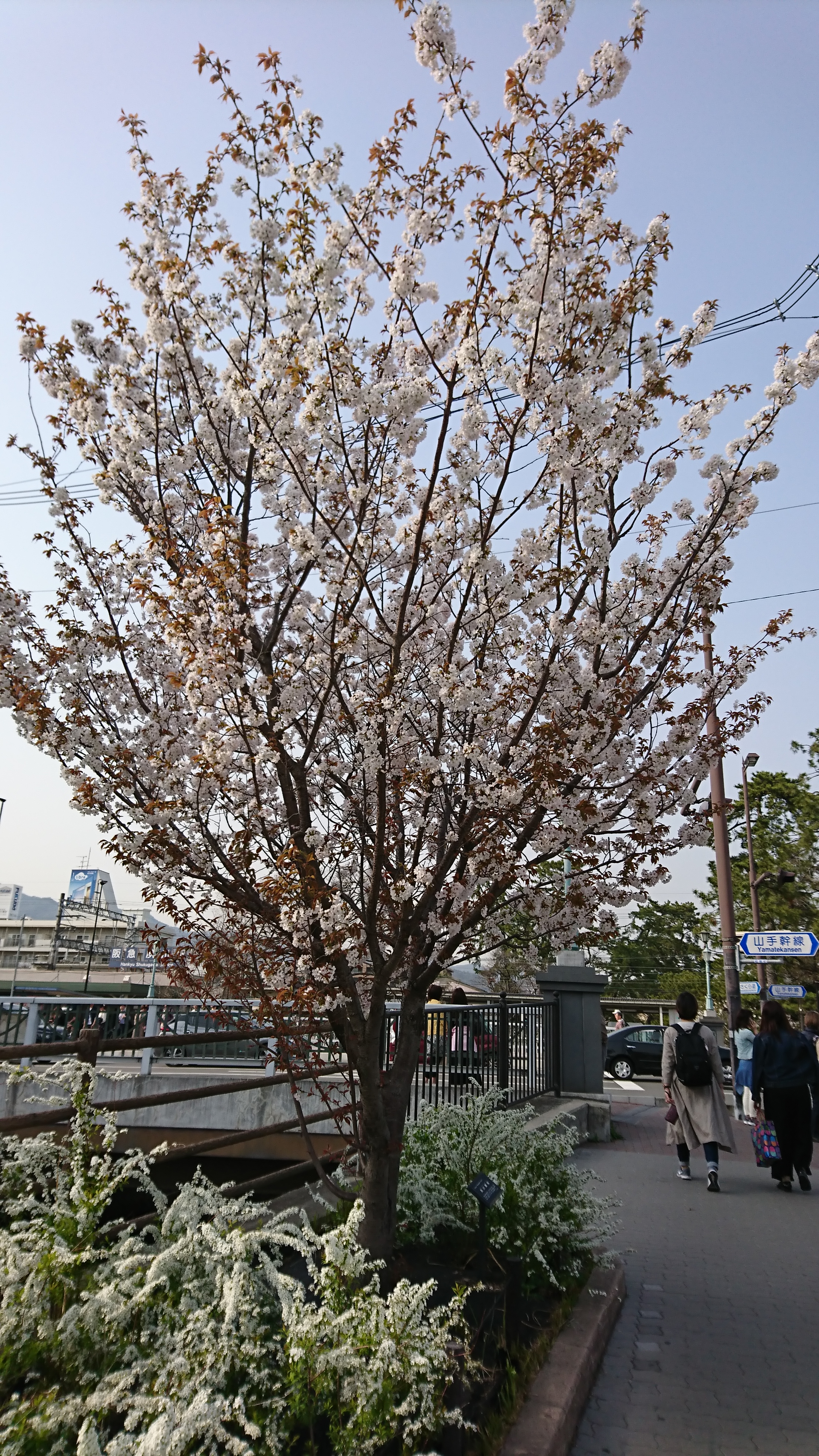 アップロードファイル 743-3.jpg