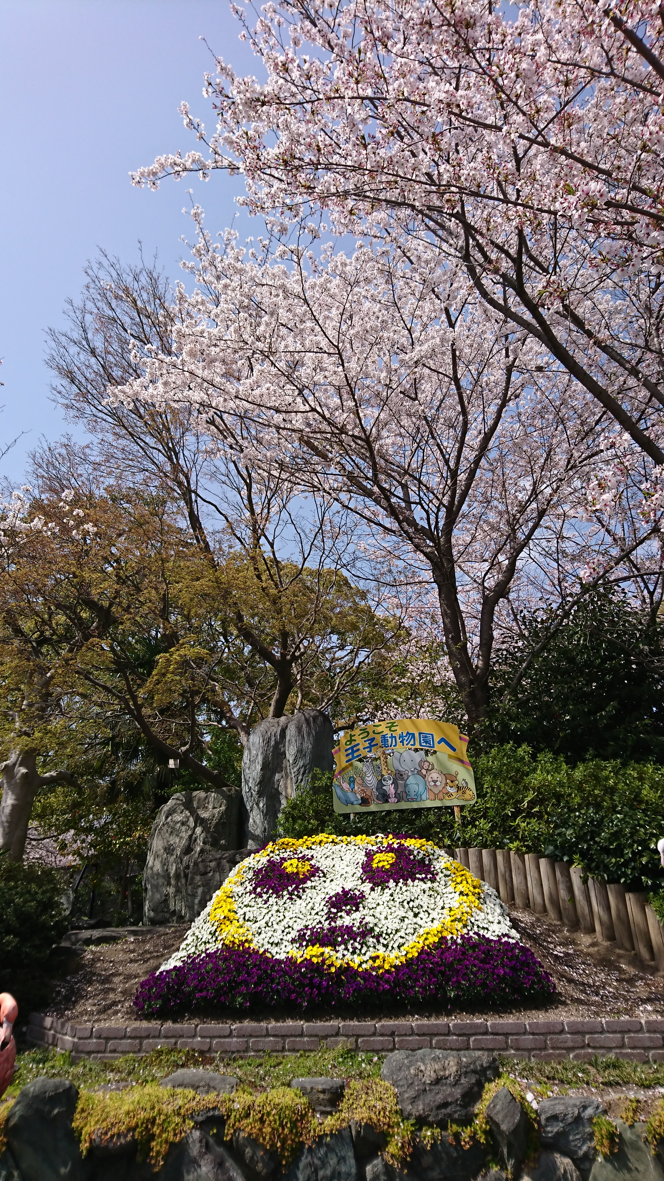 アップロードファイル 744-1.jpg