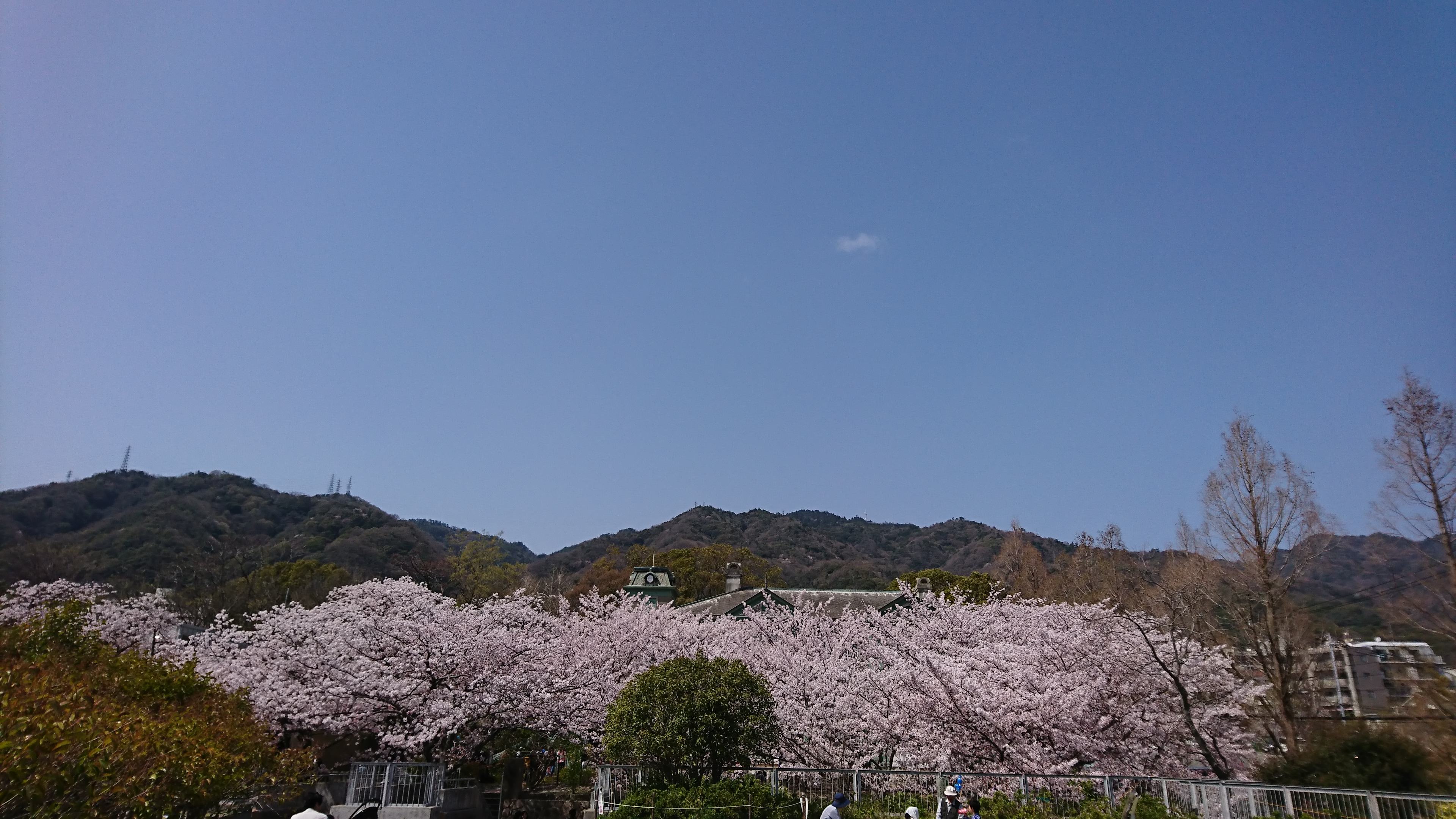 アップロードファイル 744-4.jpg