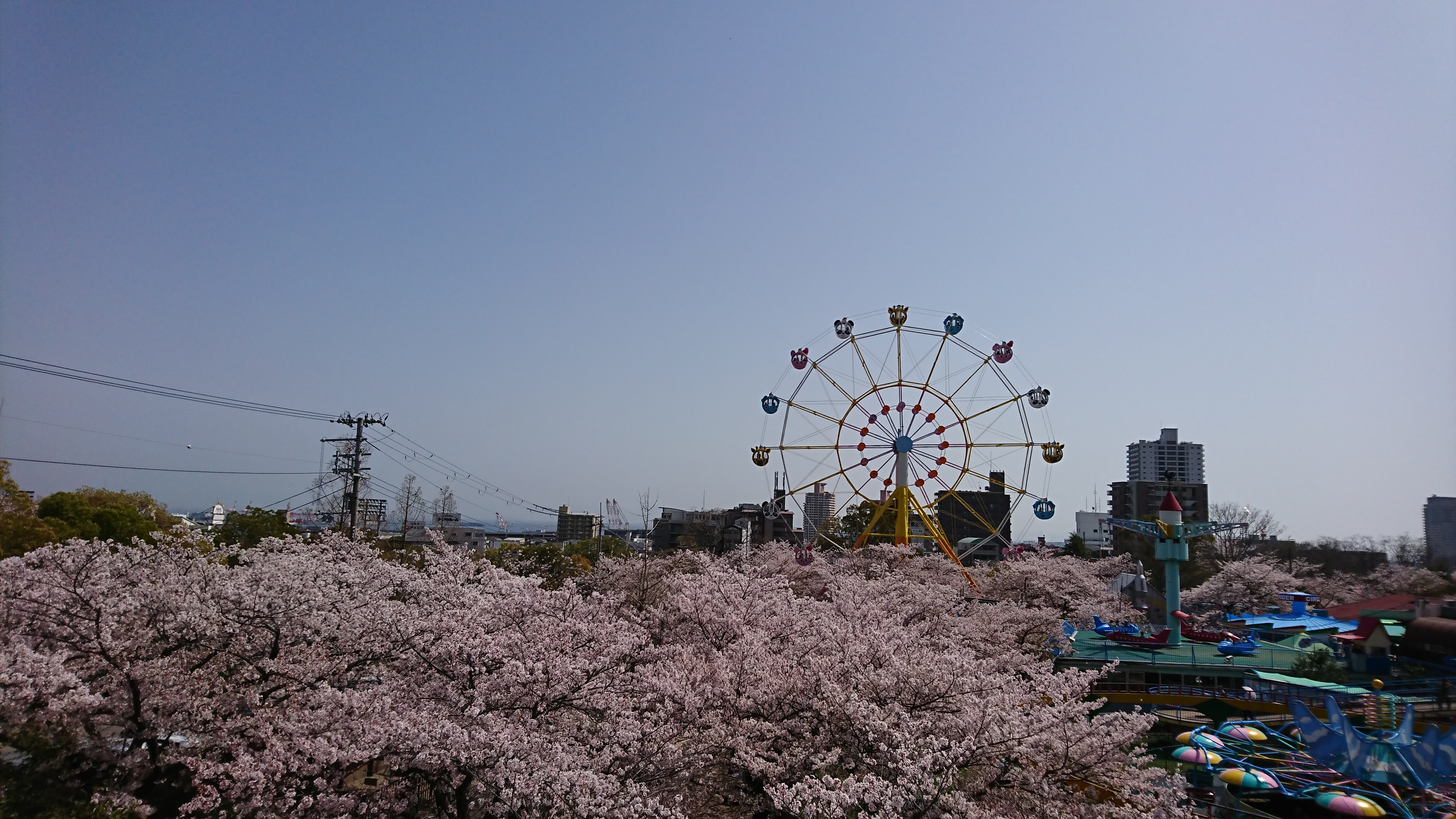 アップロードファイル 744-5.jpg
