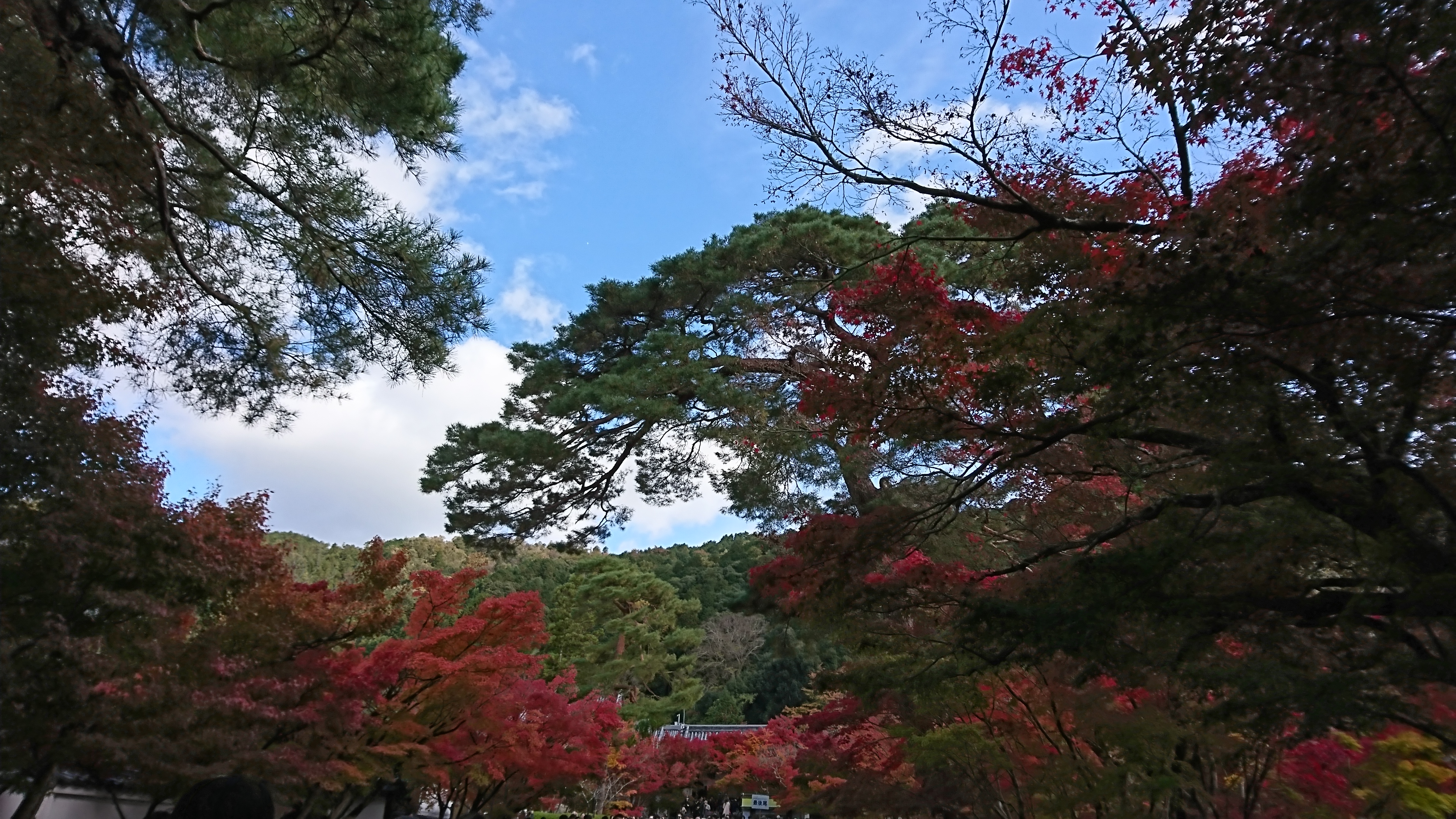 アップロードファイル 789-3.jpg