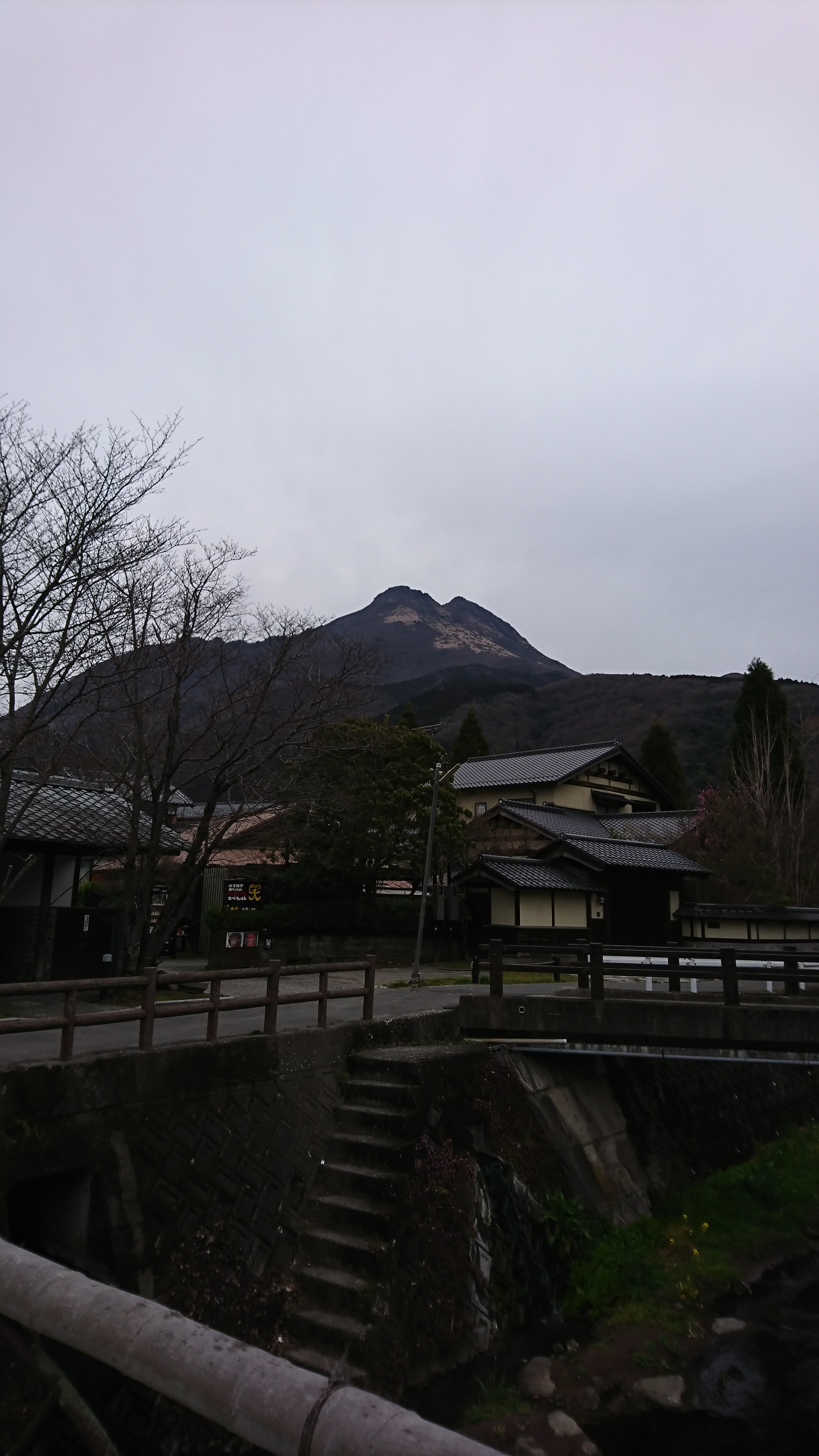アップロードファイル 811-5.jpg