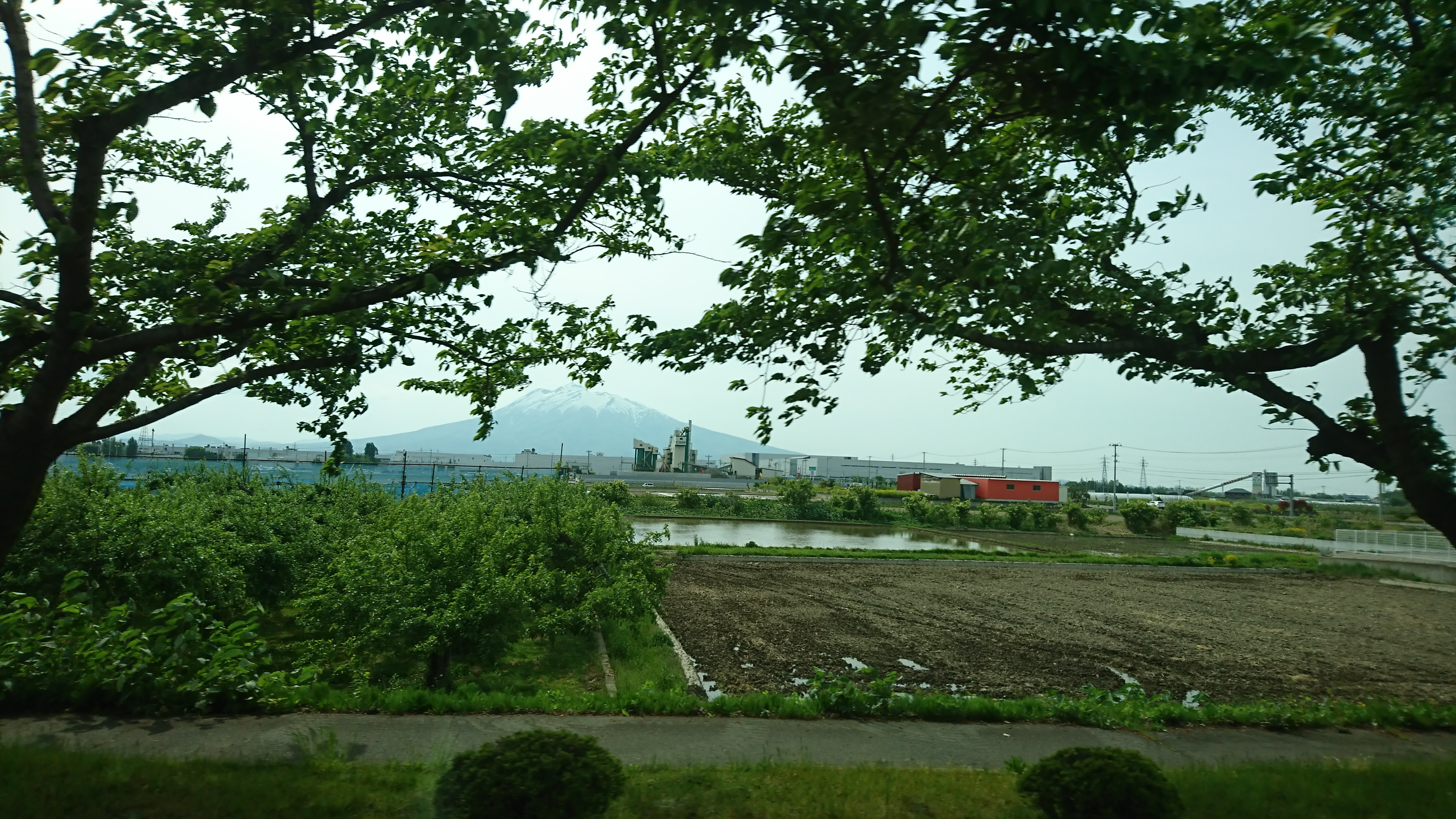アップロードファイル 823-5.jpg