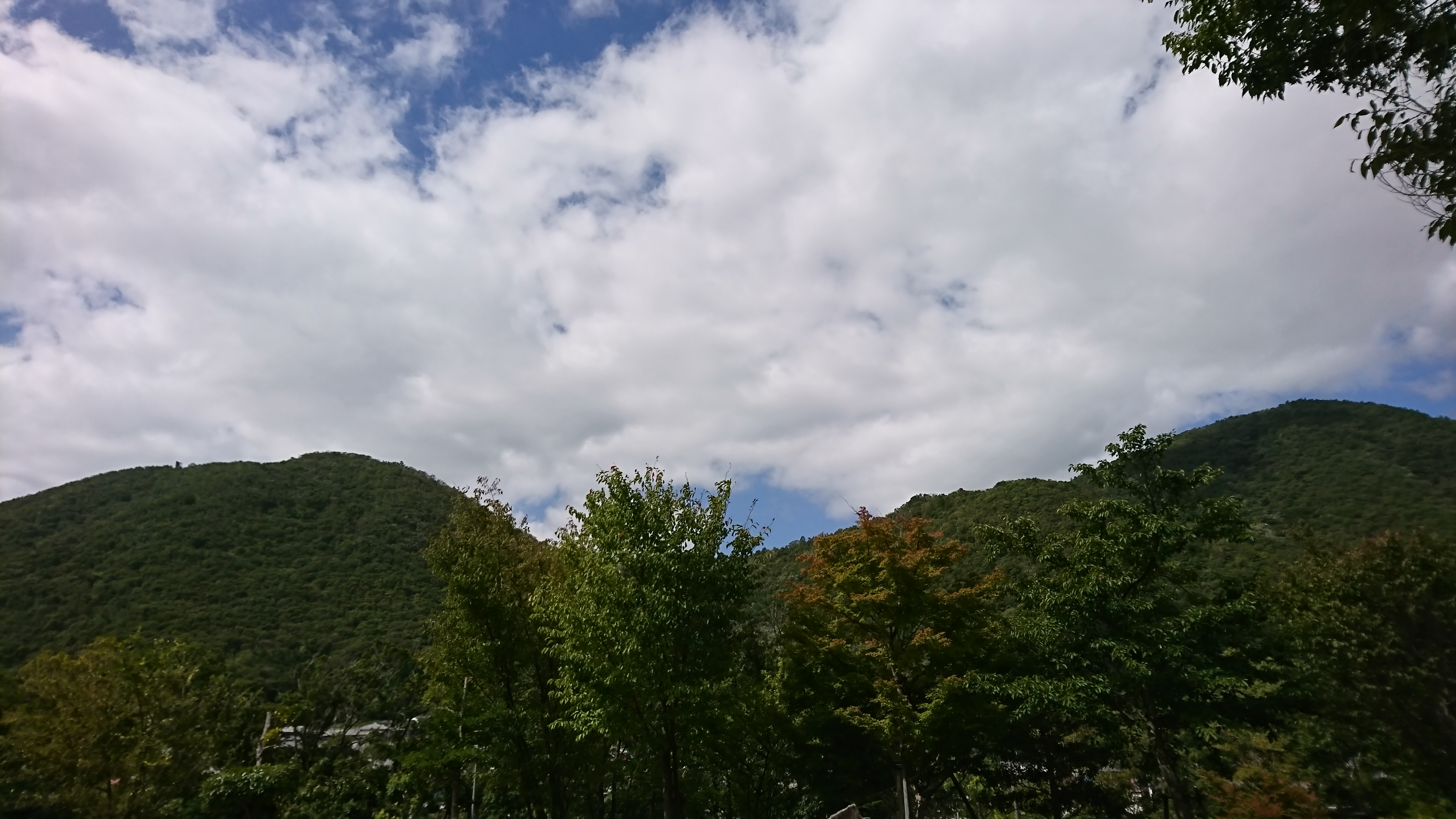 アップロードファイル 846-2.jpg