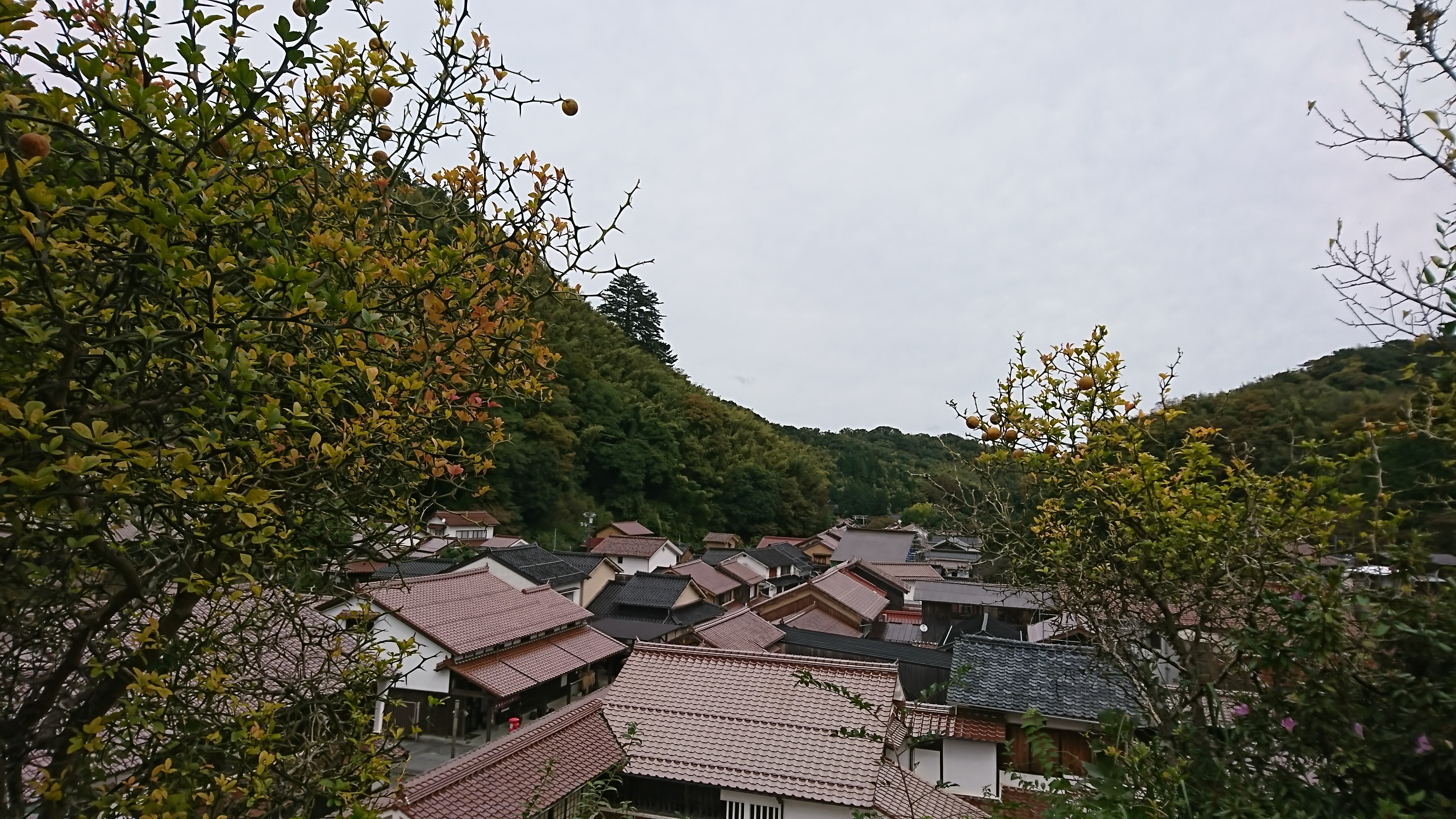 アップロードファイル 850-4.jpg