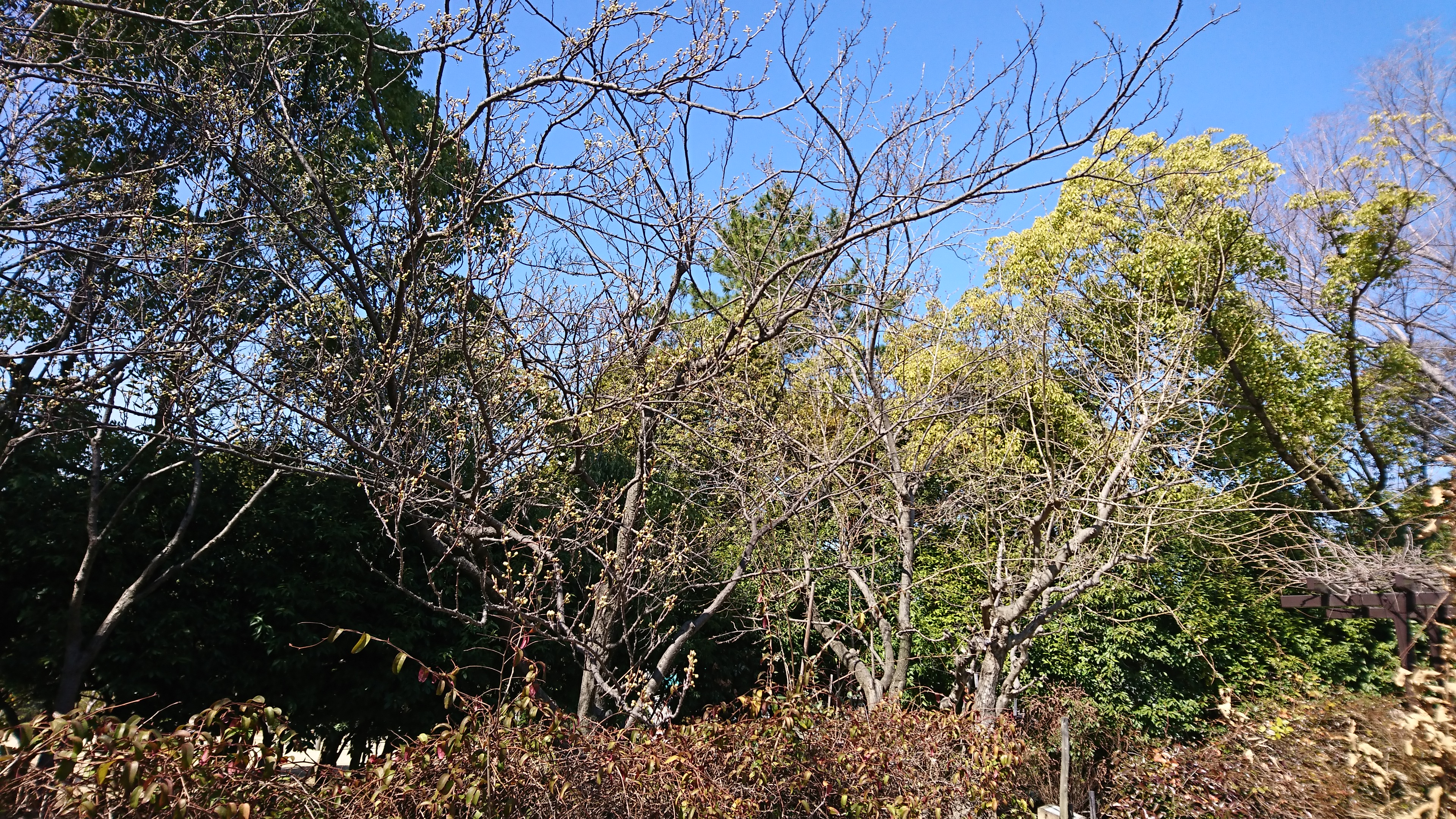 アップロードファイル 876-1.jpg