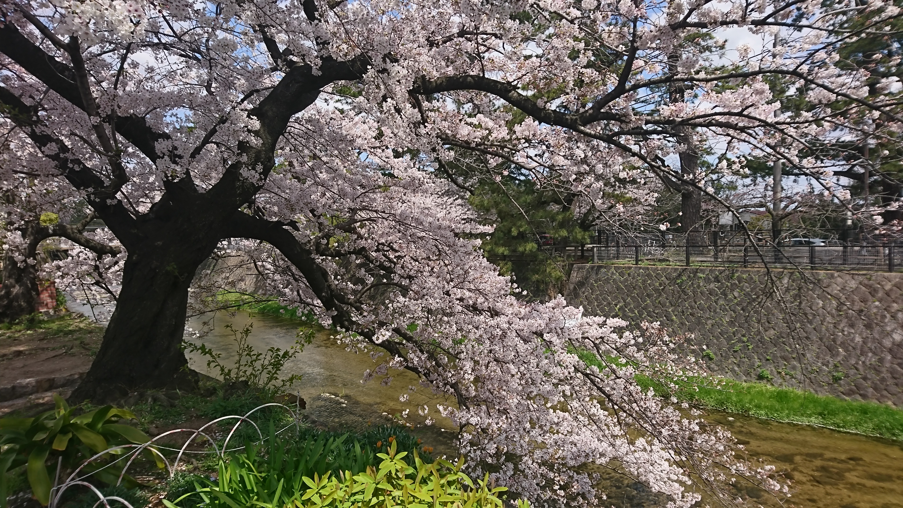 アップロードファイル 882-1.jpg