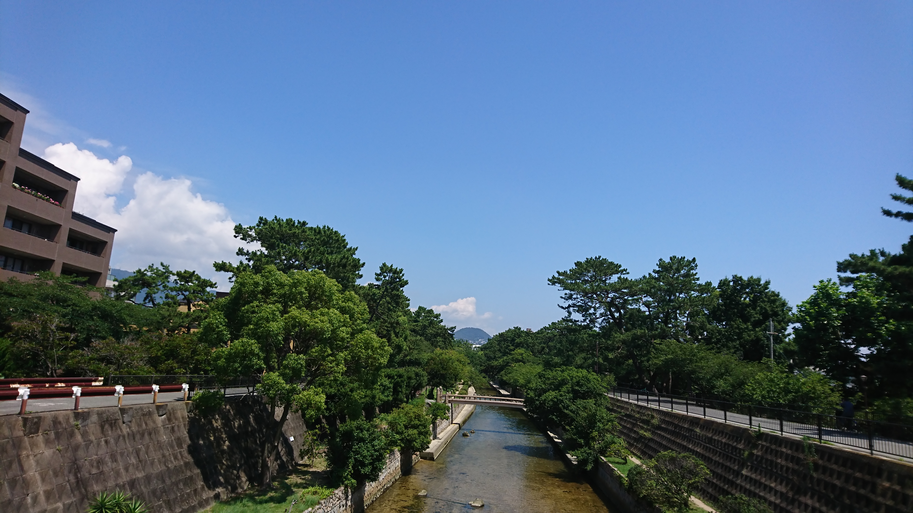 アップロードファイル 898-2.jpg
