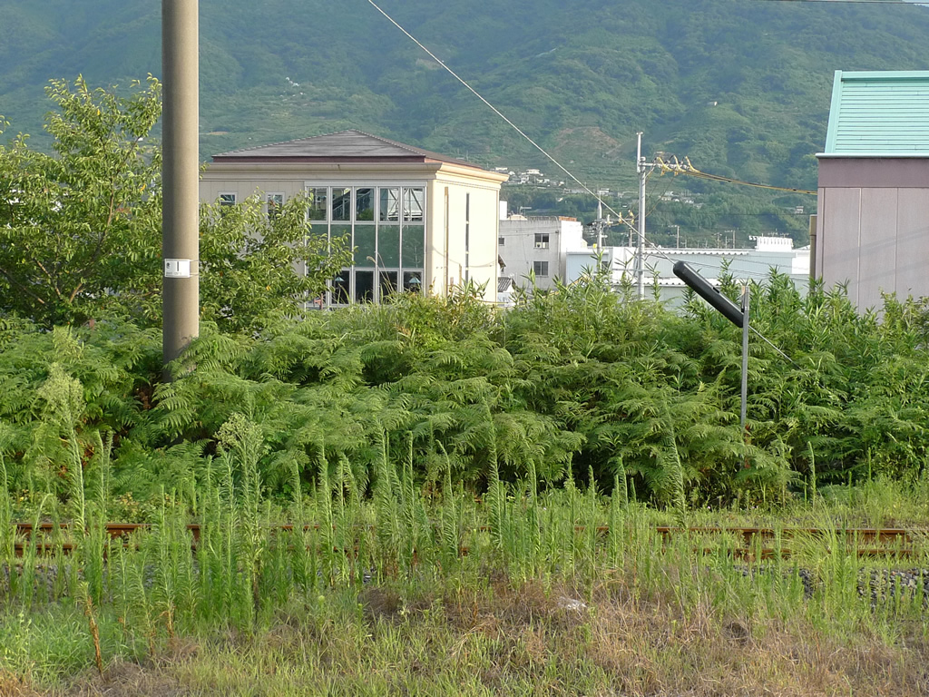 粉河駅 / Kokawa Station 8
