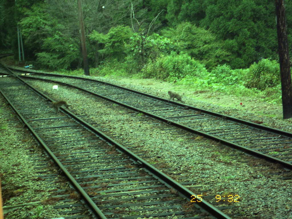 叡山電鉄 / Eiden: Eizan Railway 8