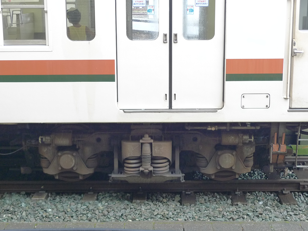 119系 飯田線 / EMU Series 119 6