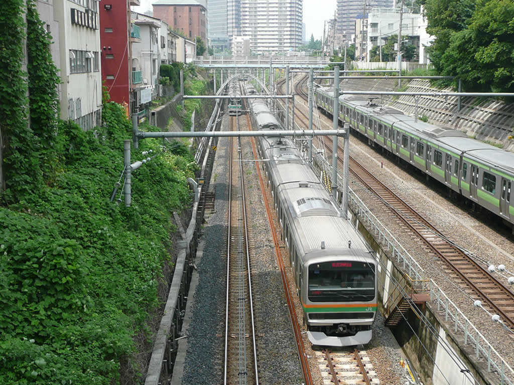 湘南新宿ライン / Shonan Shinjuku Line 2