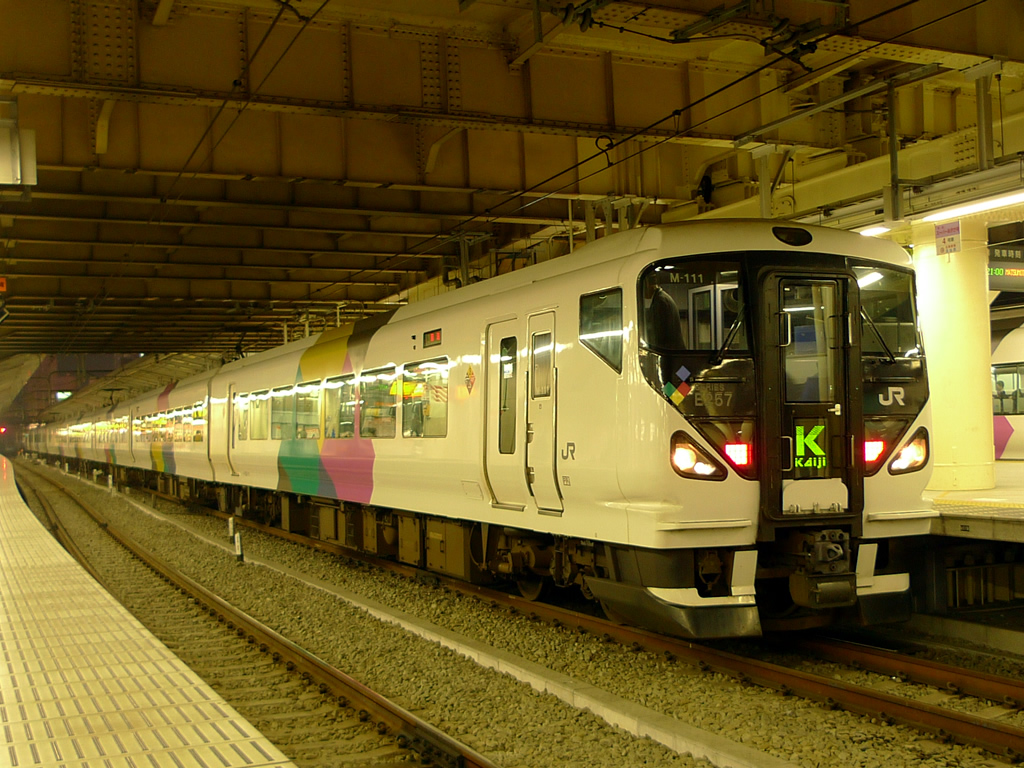 E257系 あずさ / EMU E257 Azusa 4