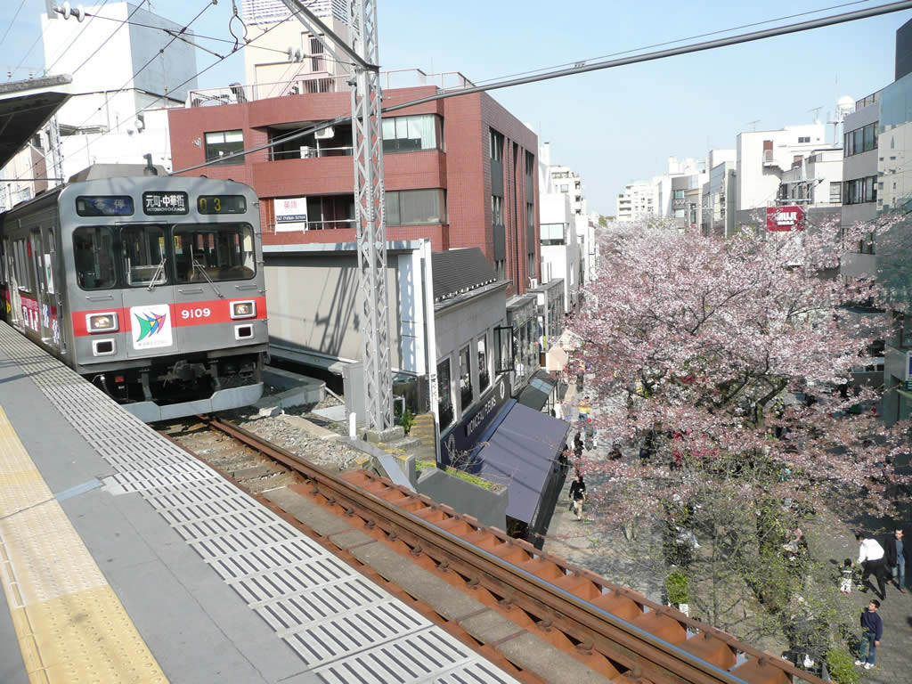東急9000系, 東横線 / EMU 9000 5