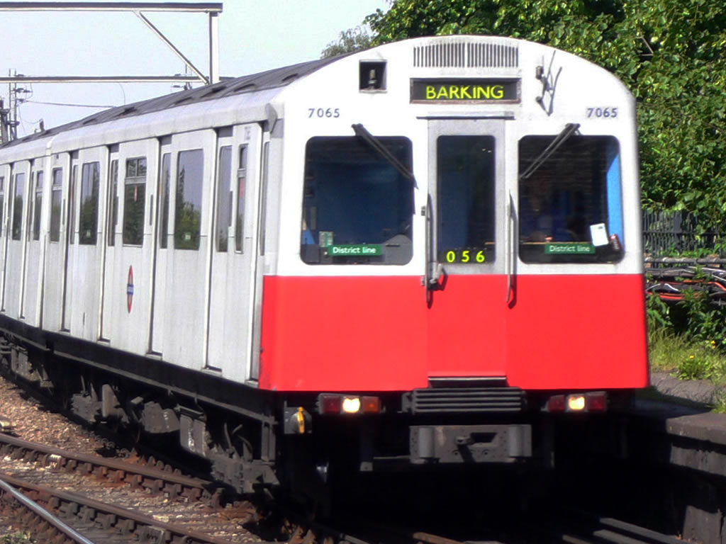 D系 / D Stock 2