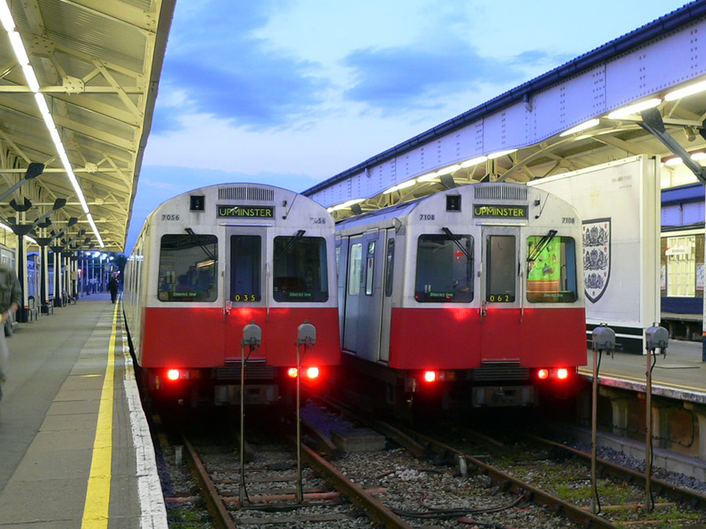 D系 / D Stock 3