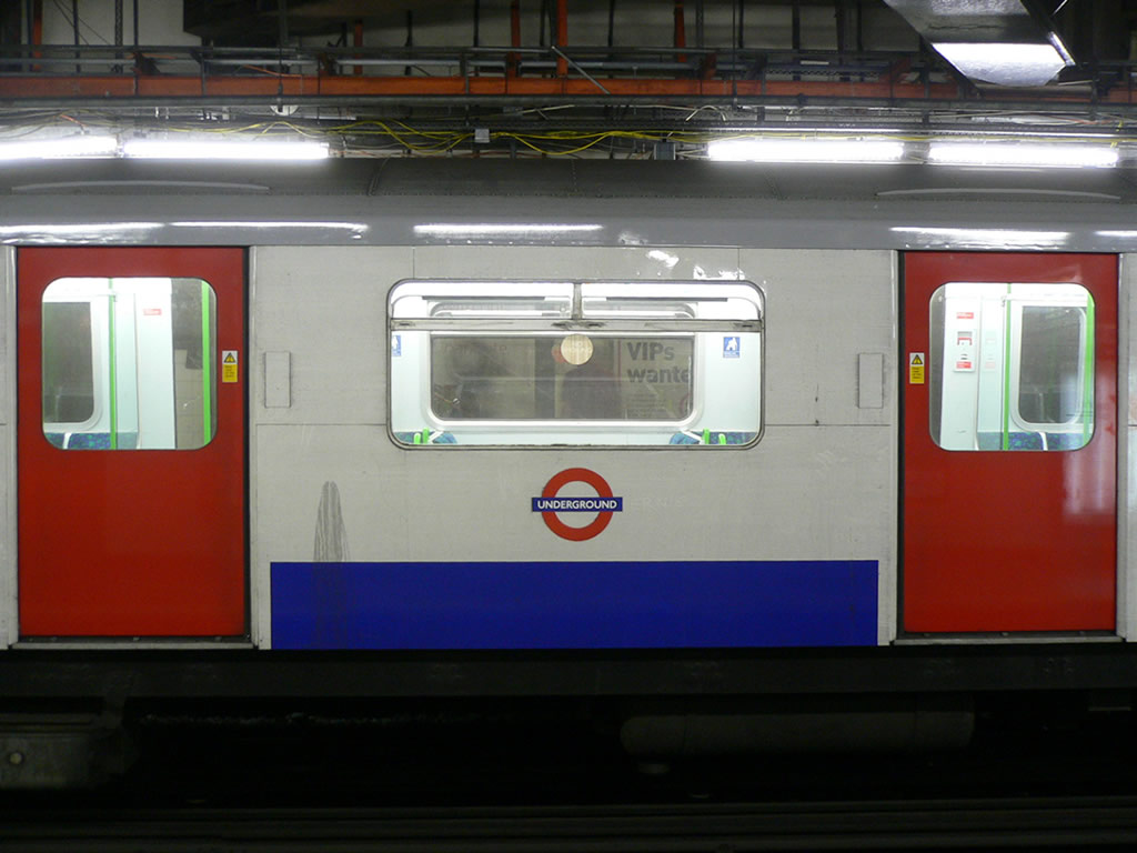 D系 / D Stock 5
