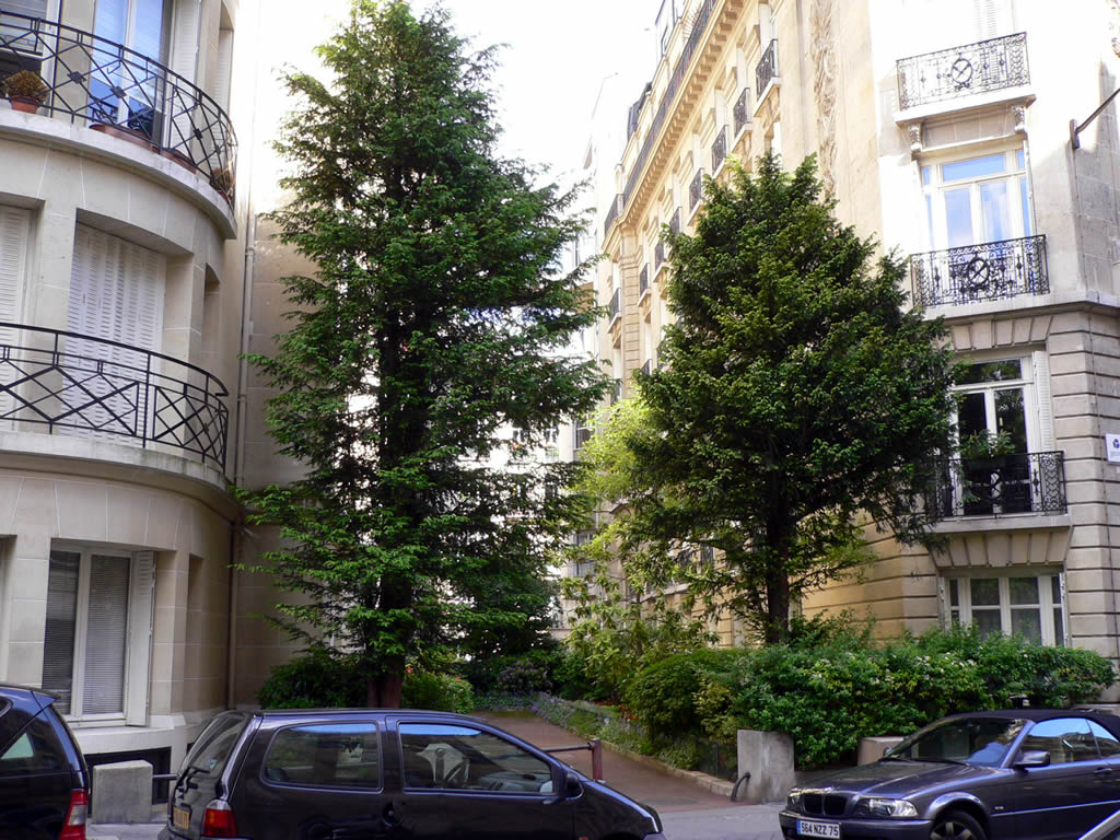 フランス・パリ / Paris, France 4