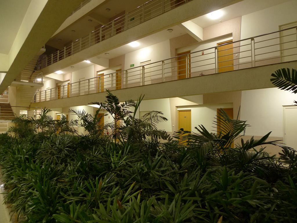 インフォシス団地 / Infosys Apartment Complex 14