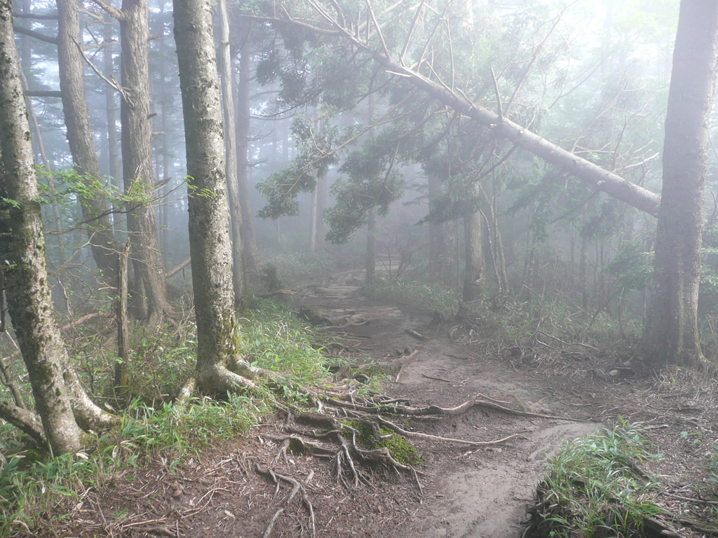 大菩薩峠, 山梨 / Daibosatsu-Toge, Yamanashi 2