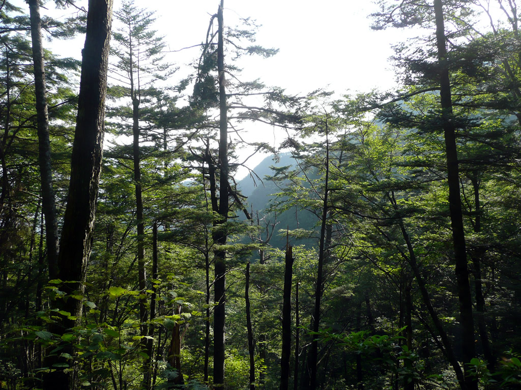 大菩薩峠, 山梨 / Daibosatsu-Toge, Yamanashi 4