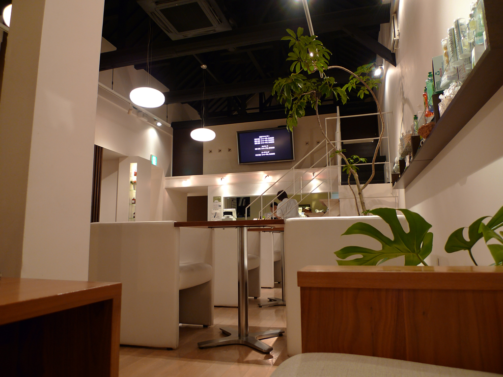 一宮, 愛知 / Ichinomiya, Aichi 15