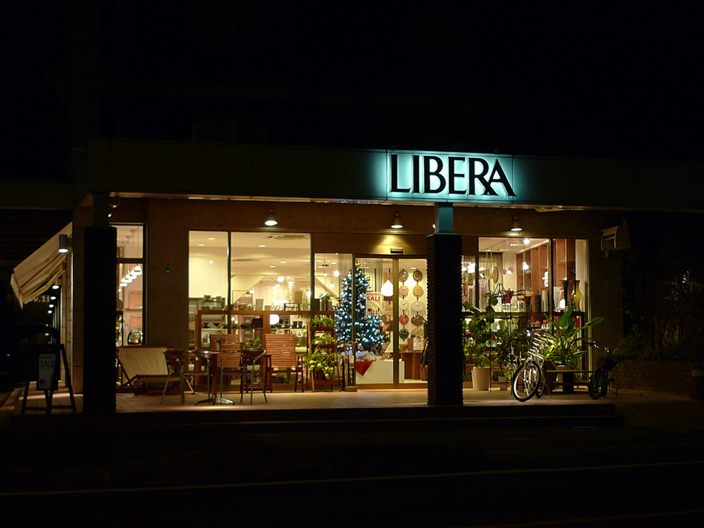 一宮, 愛知 / Ichinomiya, Aichi 16