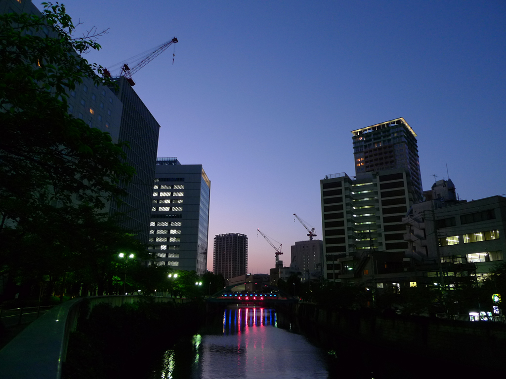 大崎駅周辺 / Osaki, Tokyo 1