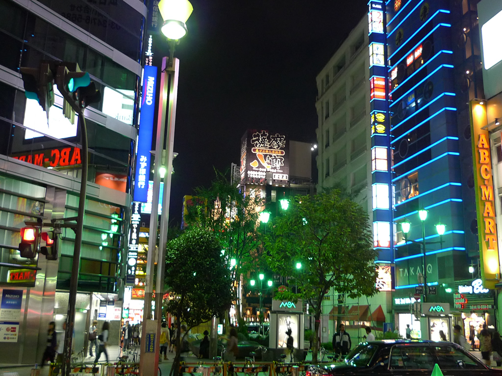 新宿 / Shinjuku, Tokyo, Japan 4