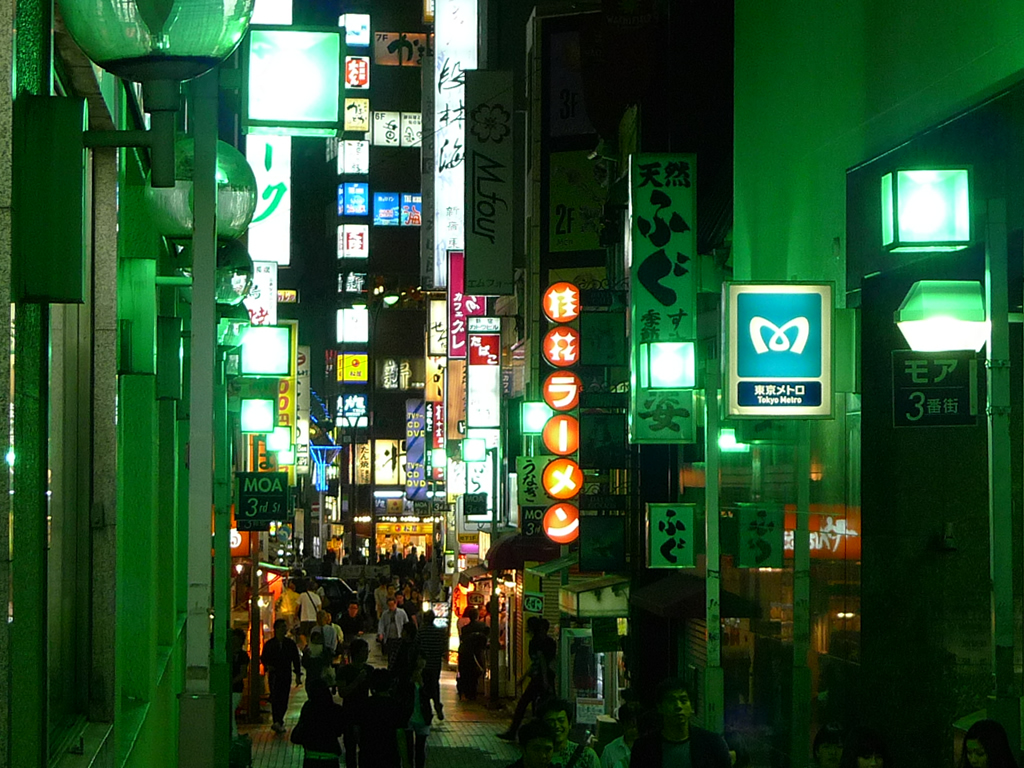 新宿 / Shinjuku, Tokyo, Japan 6