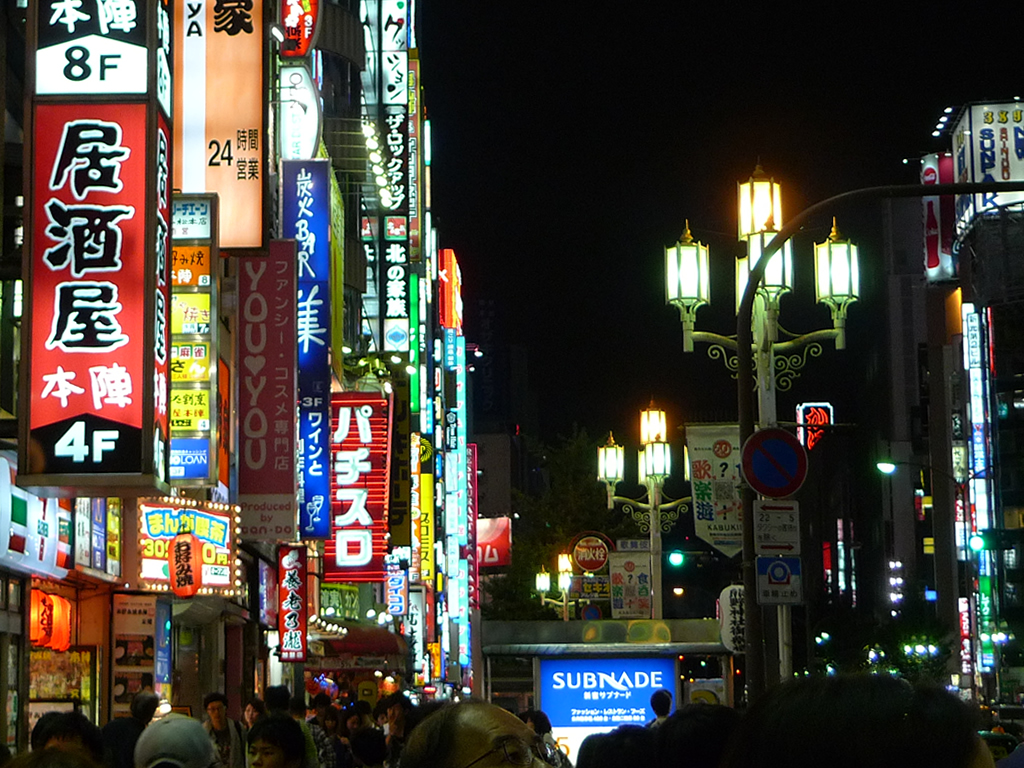 新宿 / Shinjuku, Tokyo, Japan 7