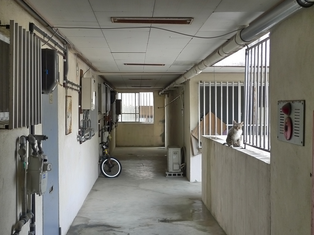 協栄浮島マンション / Ukishima Apartment 7