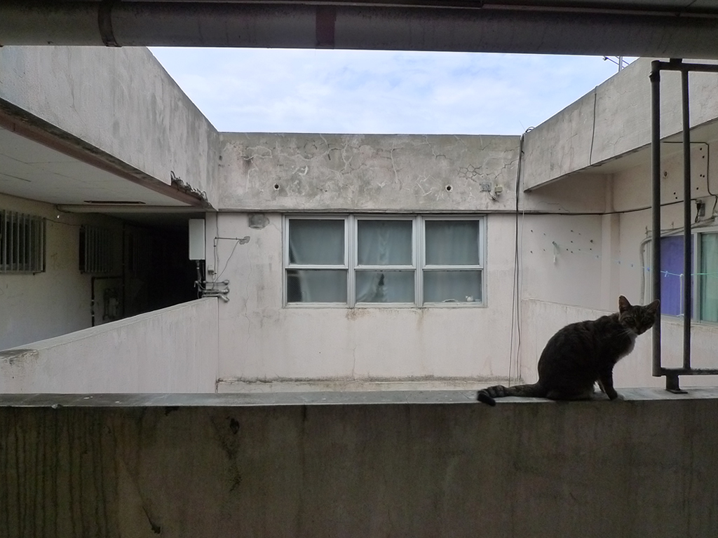 協栄浮島マンション / Ukishima Apartment 9