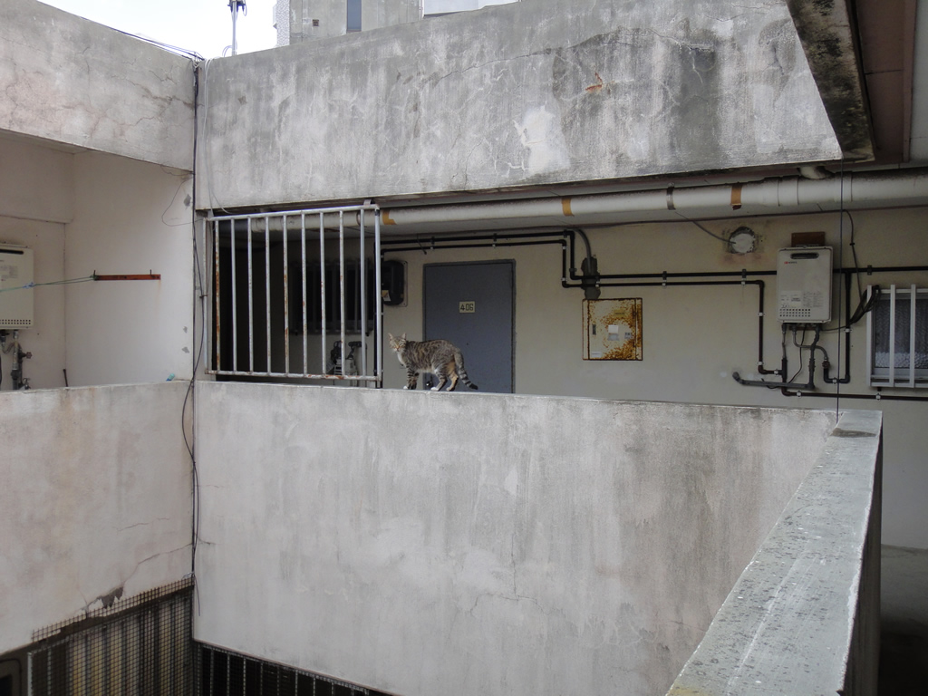 協栄浮島マンション / Ukishima Apartment 10