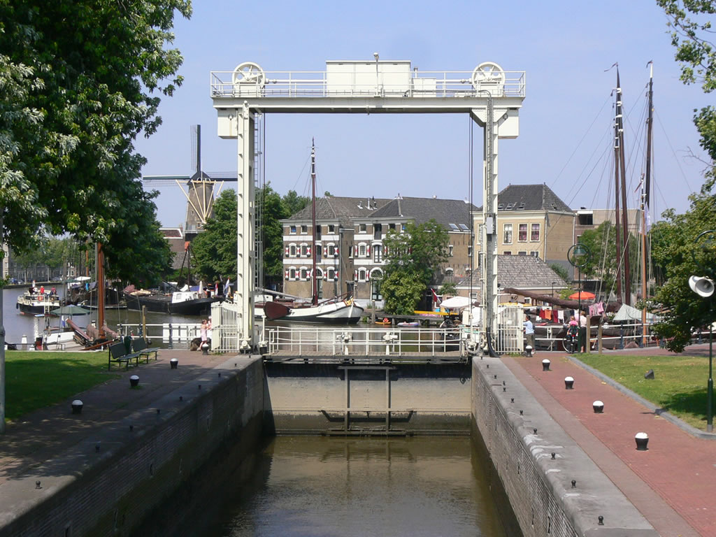 ゴーダ / Gouda 5