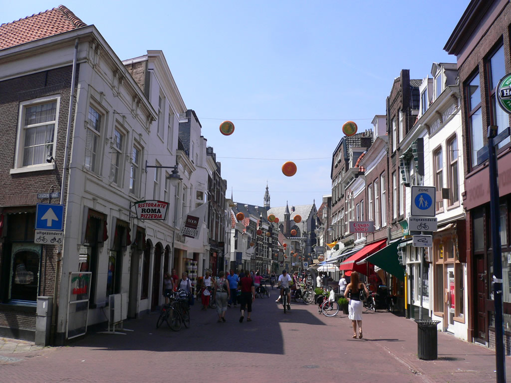 ゴーダ / Gouda 8