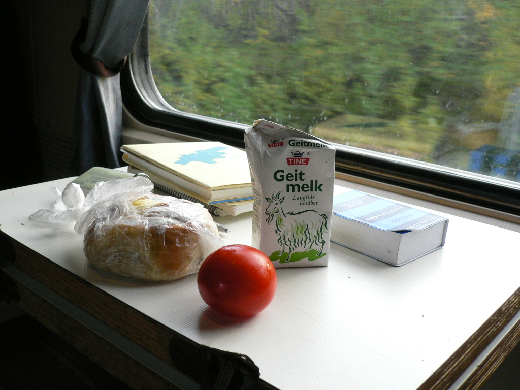 ナルヴィク目指して / Train To Narvik 10